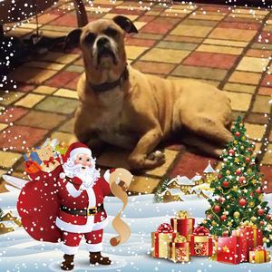 Meet your Posher, Joann